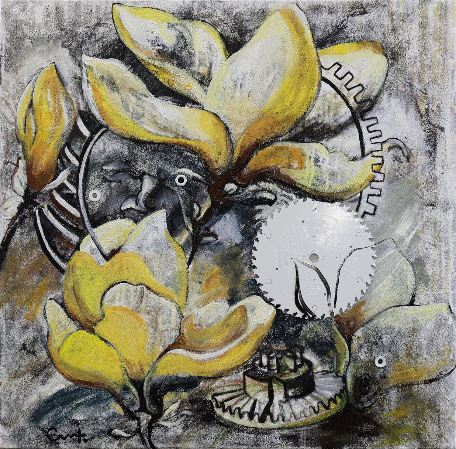 Magnolia II