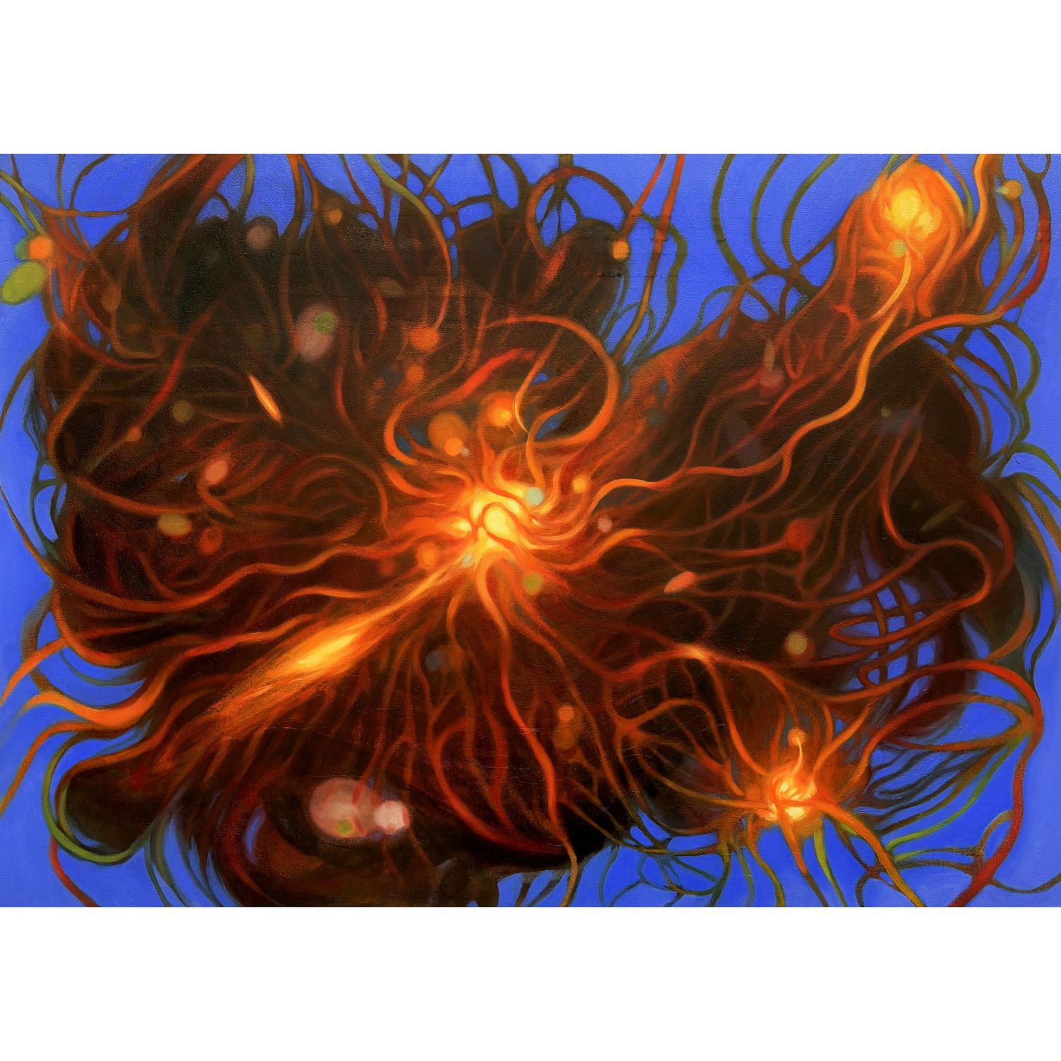 Supernova in My Eye 我眼中的超新星