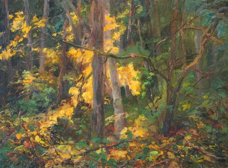 Autumn Light