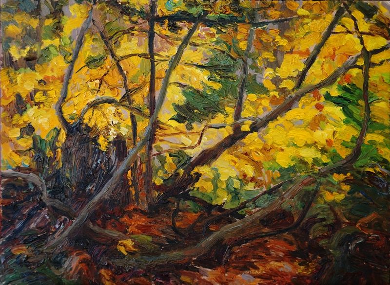 Yellow Forest