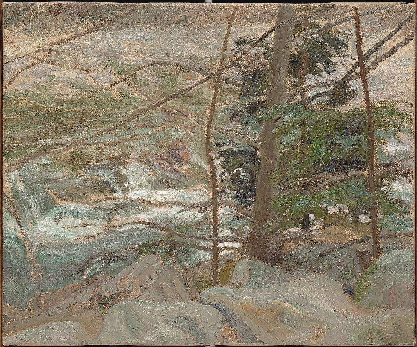 Evergreen against the River