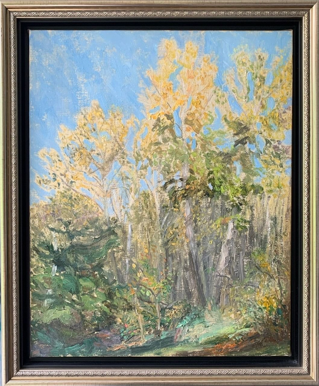 Open Forest