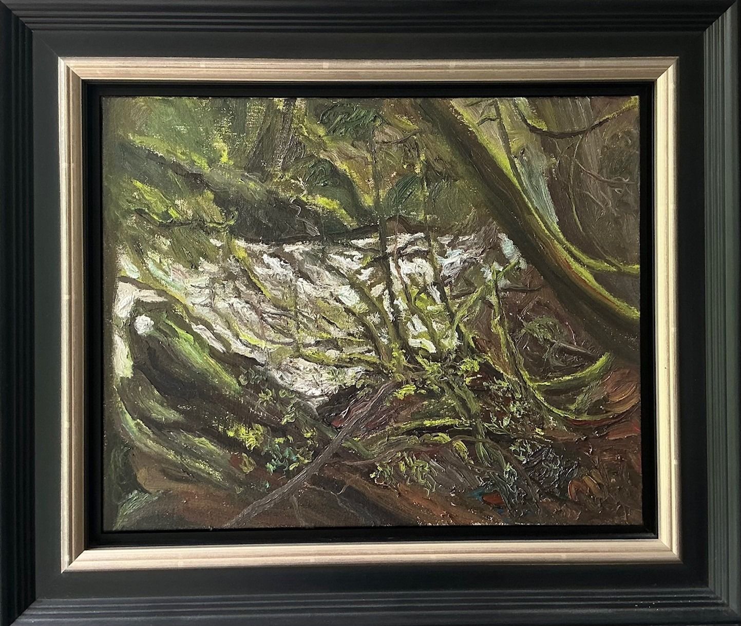 White Rapids, Green Forest