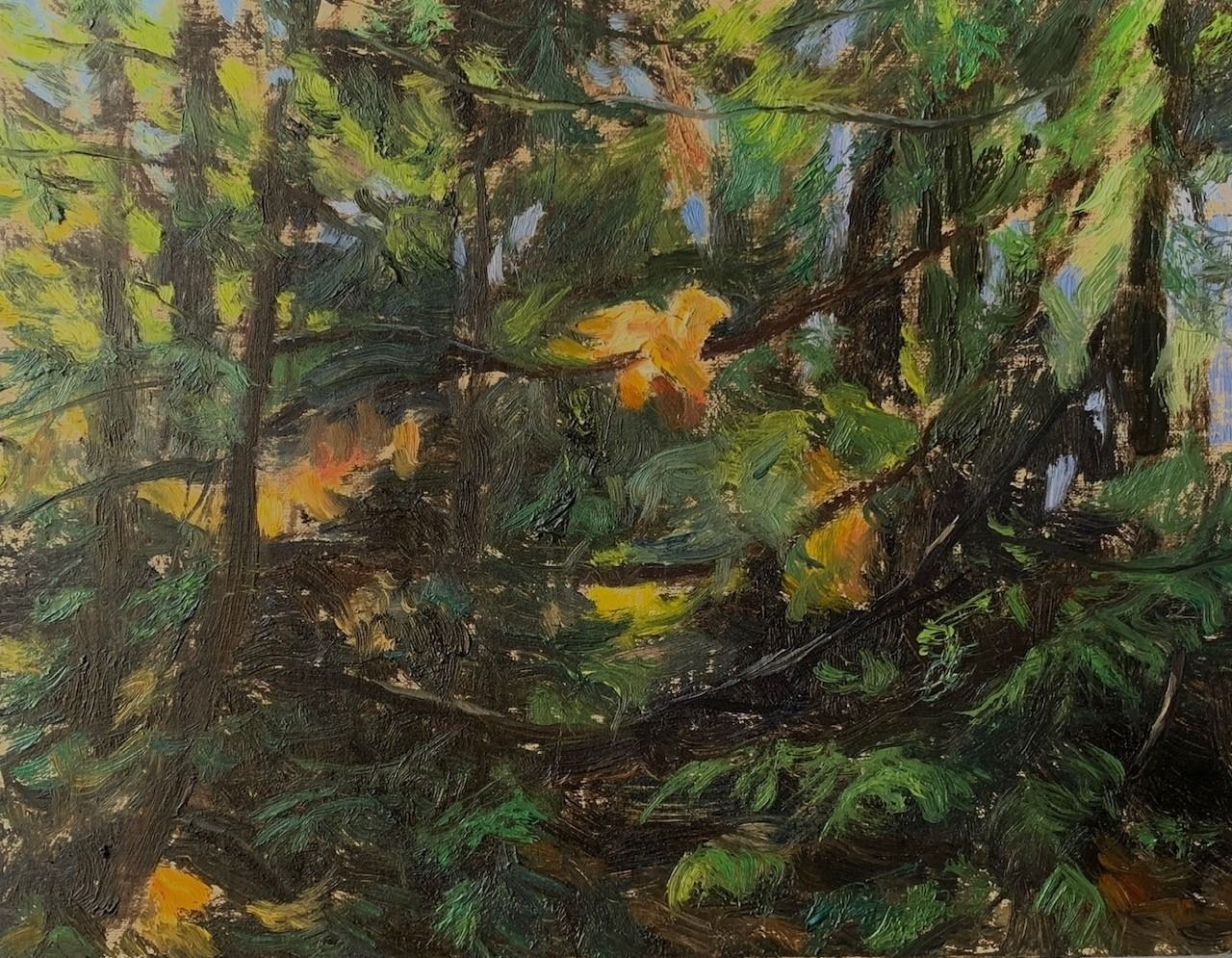 Green Interior, Forest Light