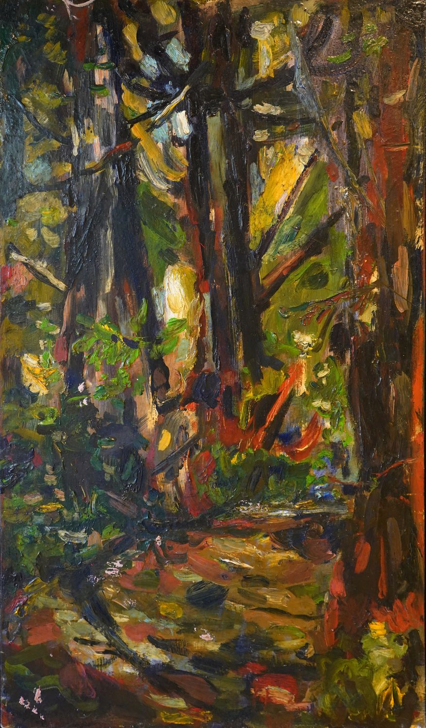 A Fall Walk in the Forest 秋季森林漫步
