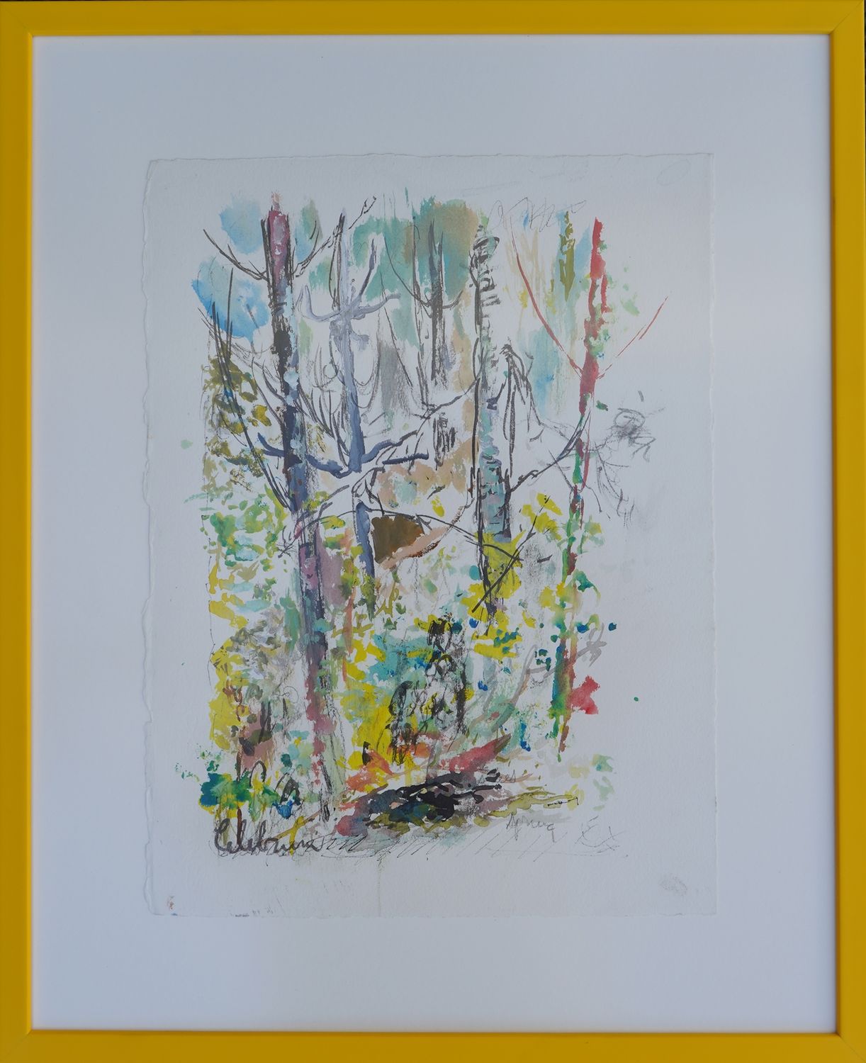 A Study in Colour - Rainforest Spring 色彩研究——雨林之春