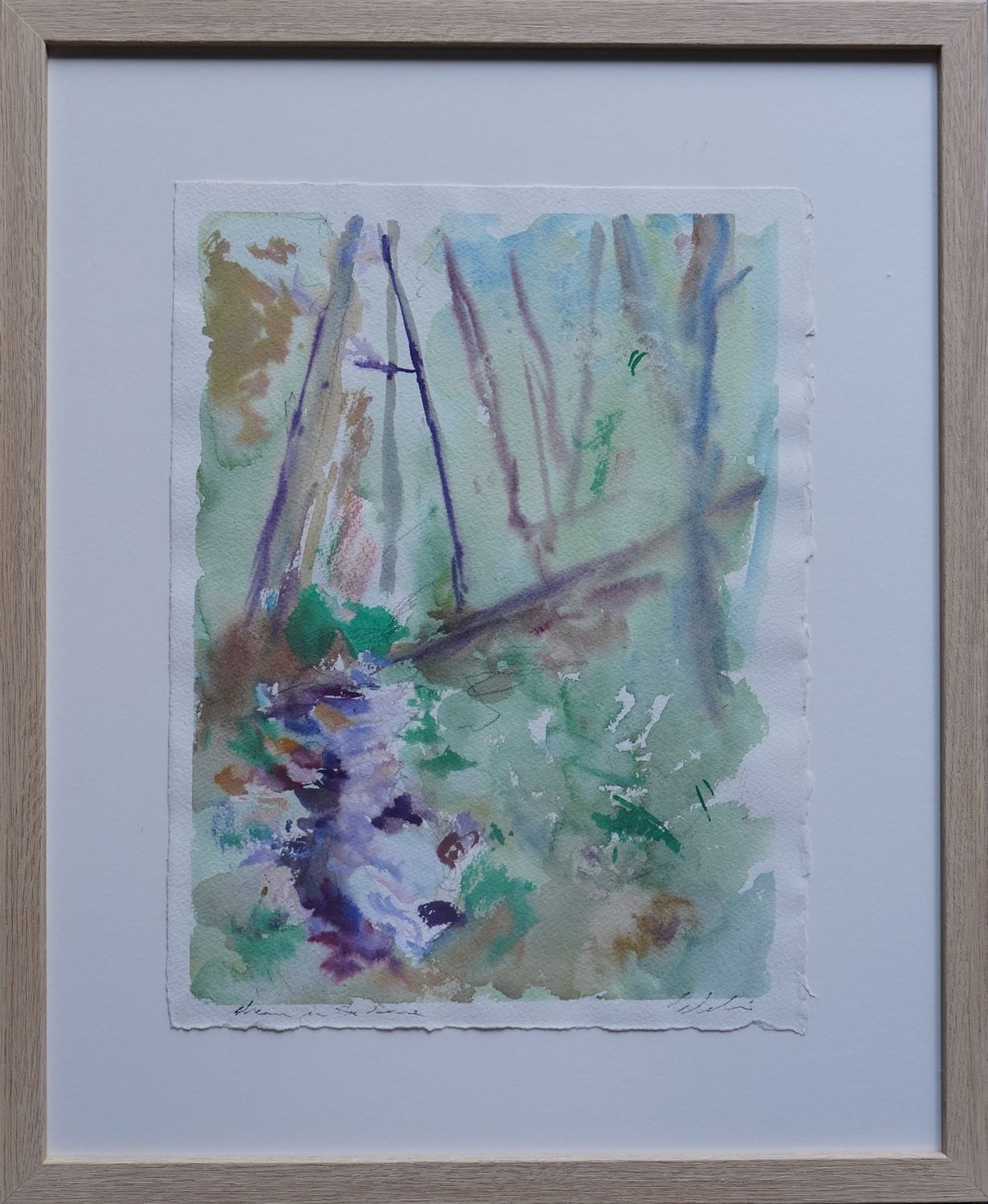 Stream in the Ravine - A Study of Reflections in the Eye  峡谷溪流——眼中倒影习作