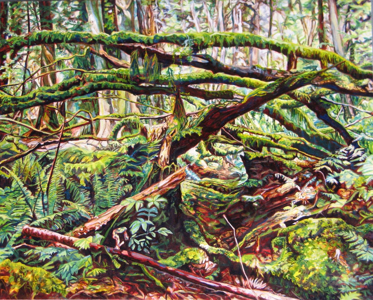 The Silent Cacophony of the Forest 森林的无声喧嚣