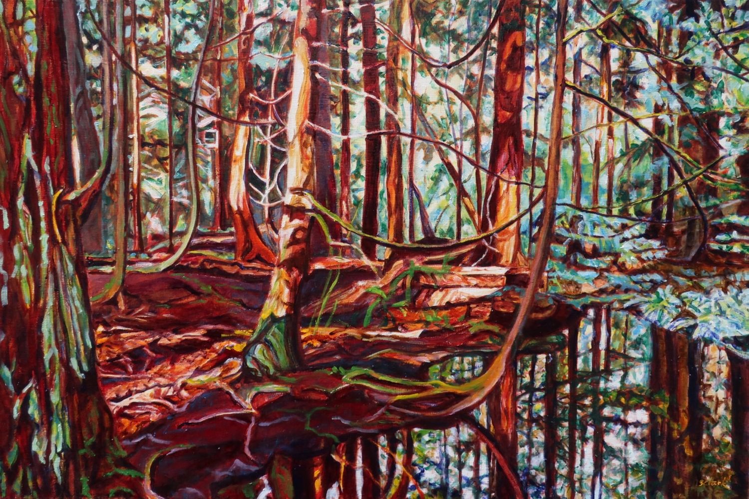 Symphony of Trees 树木交响曲