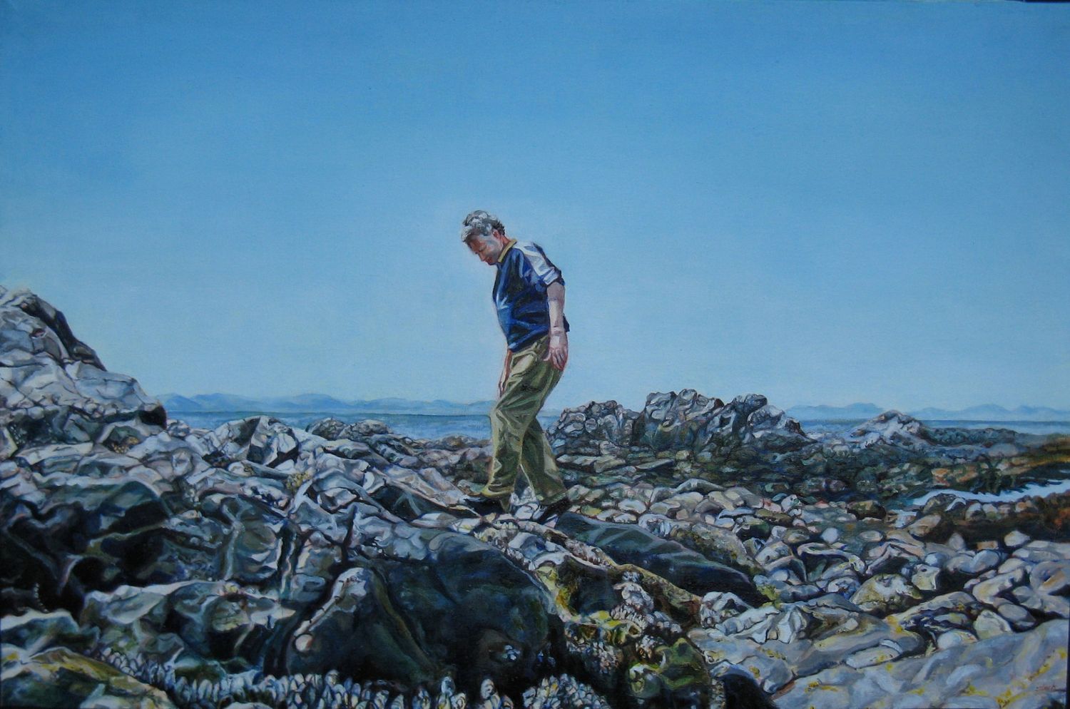 Tectonic Plates 大陆板块