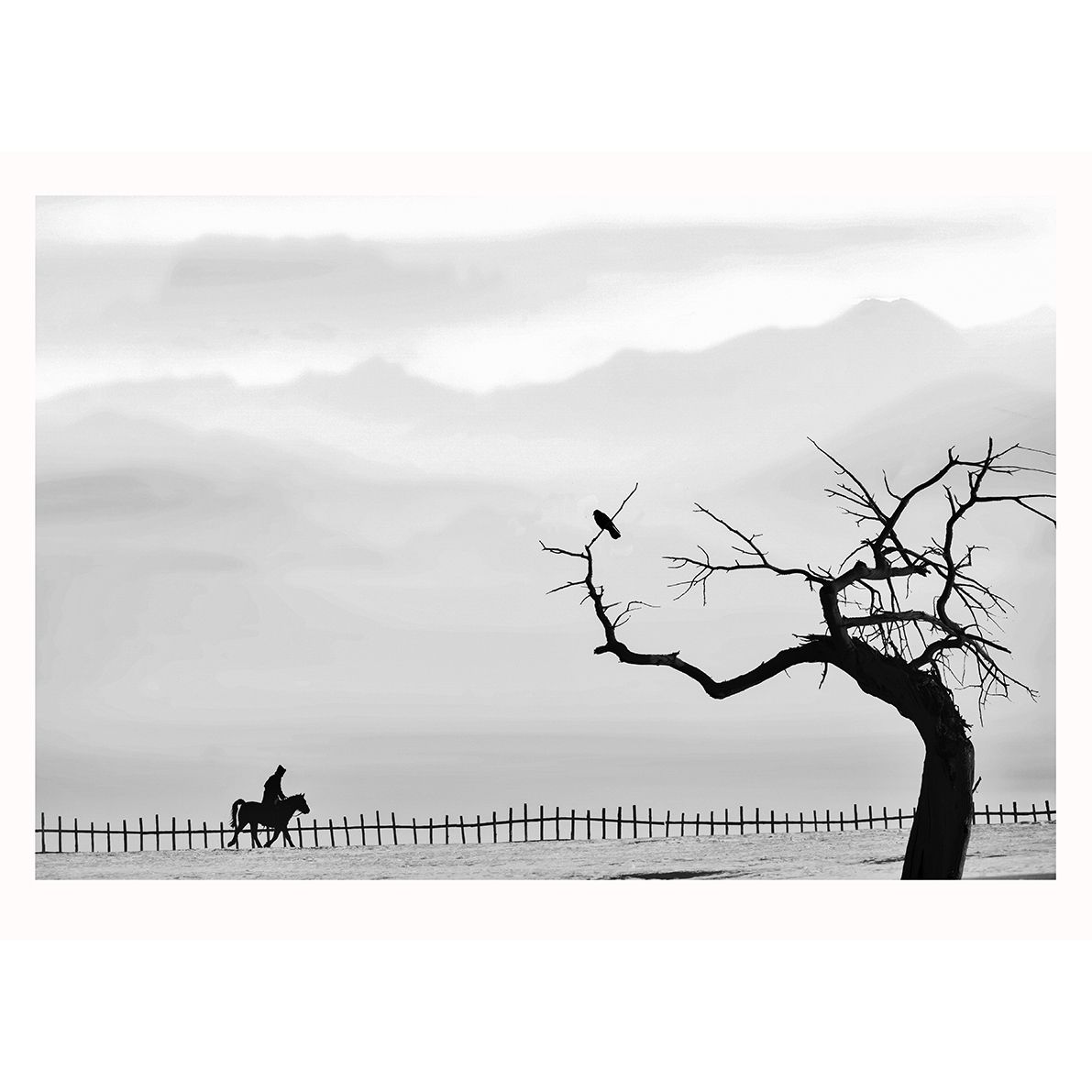 A Lonely Journey 一段孤独的旅程