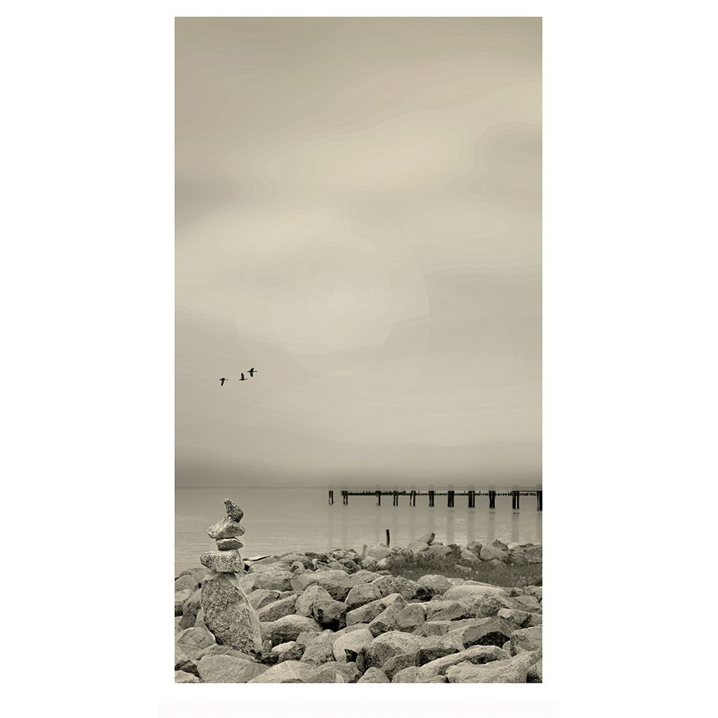 The Scenery by the Fraser River in Richmond I  列治文市菲沙河畔风景#1