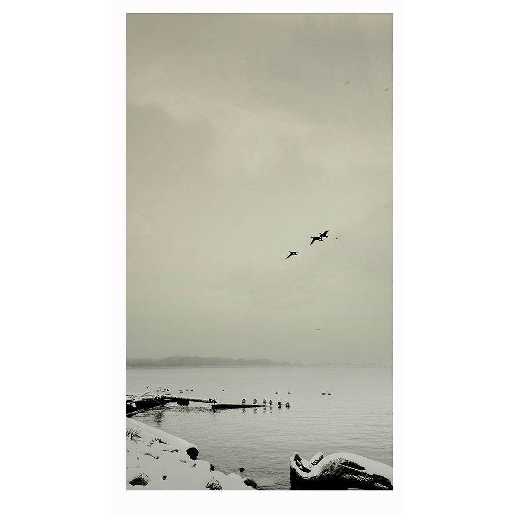 The Scenery by the Fraser River in Richmond II 列治文市菲沙河畔风景#2