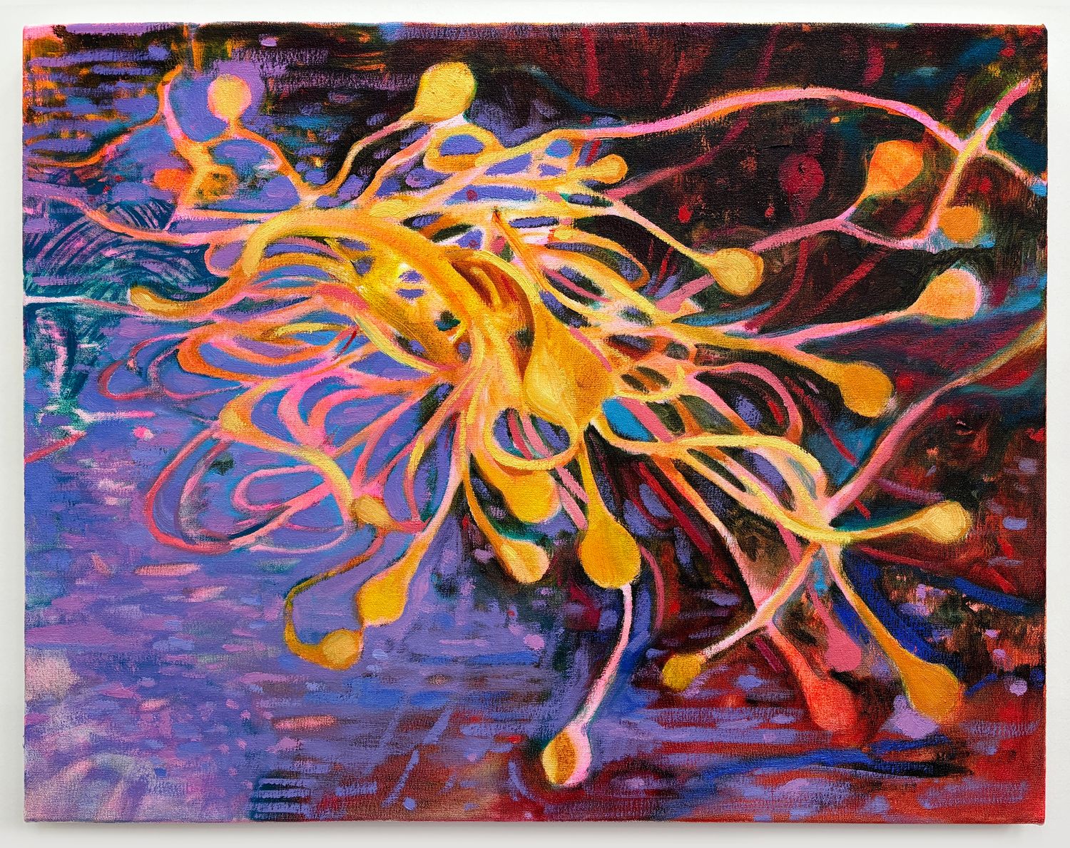 Holding the Current 保持潮涌