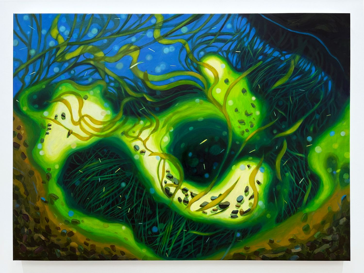 Where My Wishes Go 我的愿望会去哪里