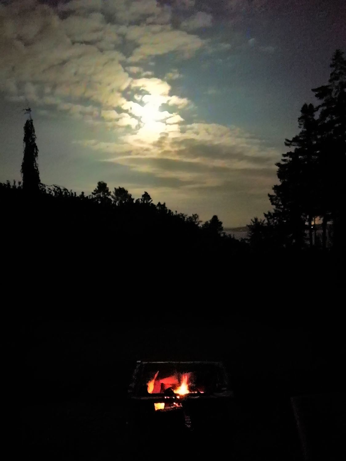 All that I See #31 All that I See #31