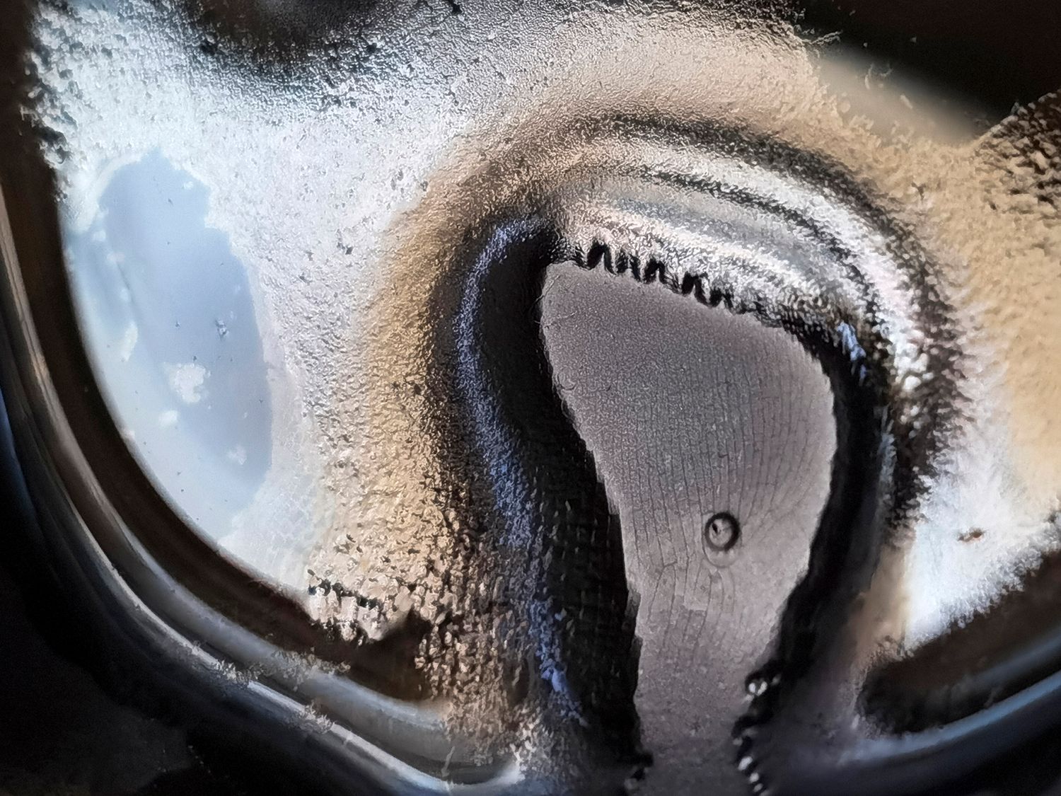 All that I See #20 All that I See #20