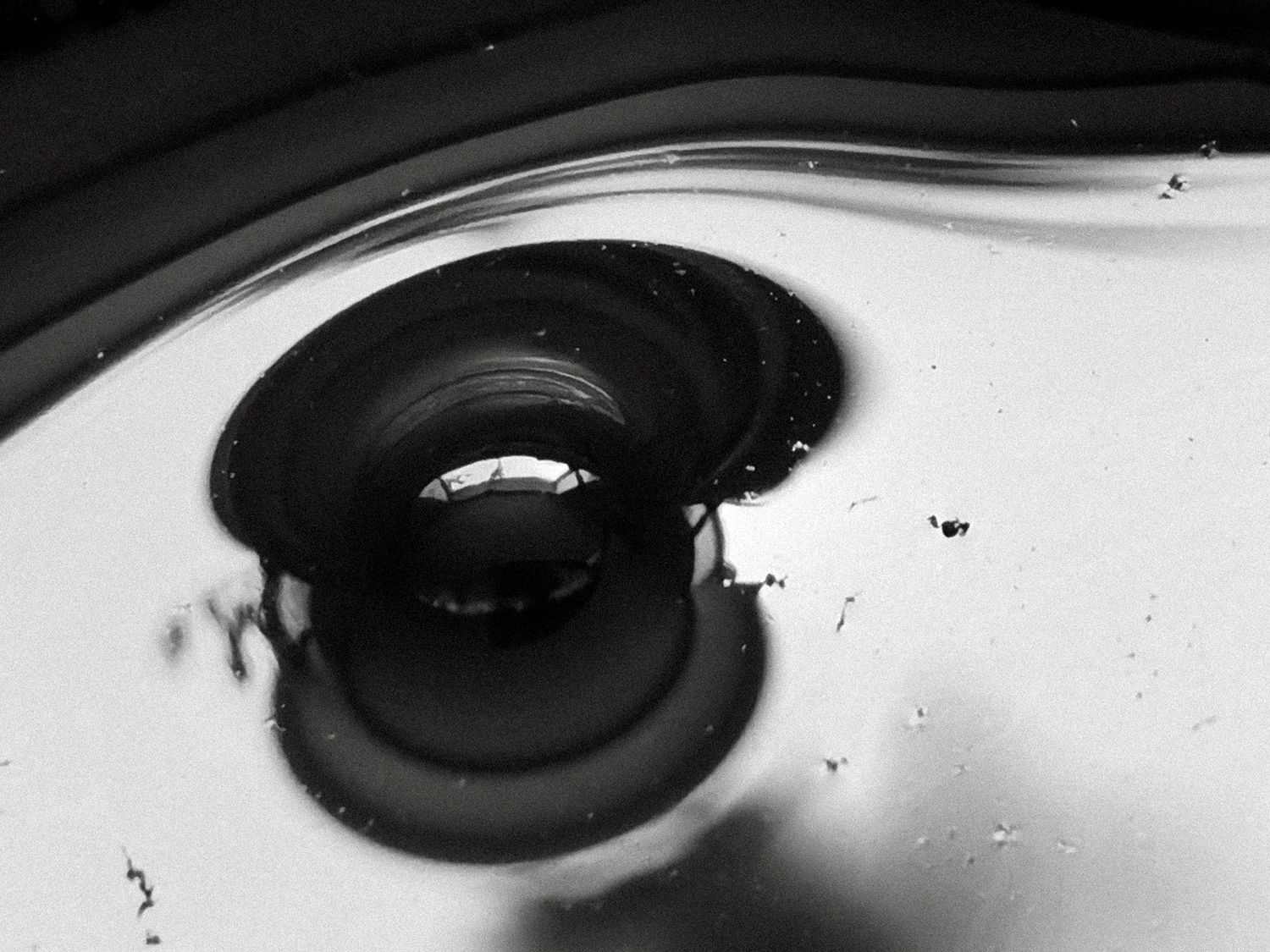 All that I See #15 All that I See #15