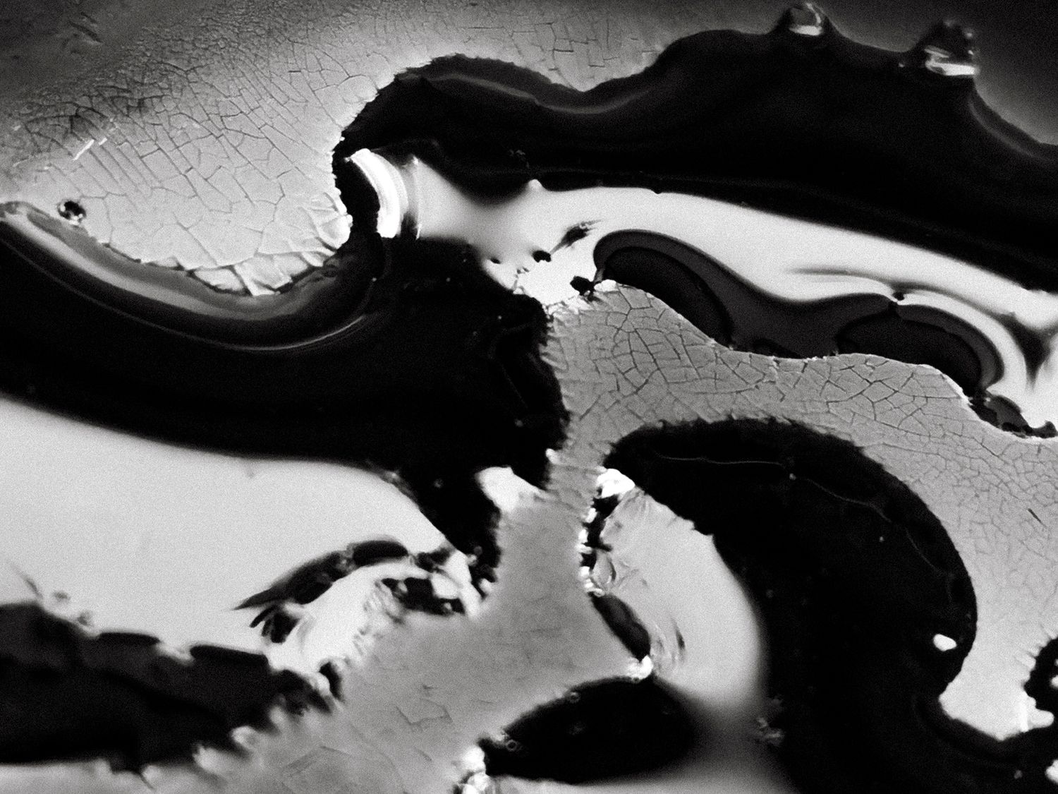 All that I See #14 All that I See #14