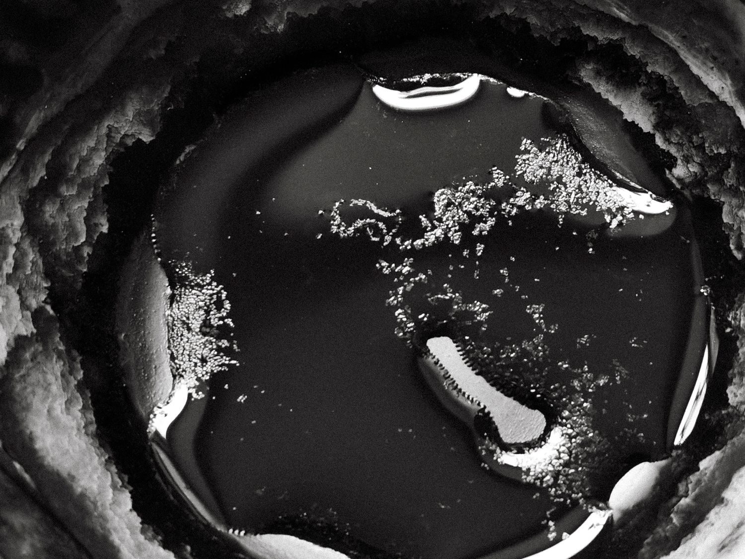 All that I See #8 All that I See #8