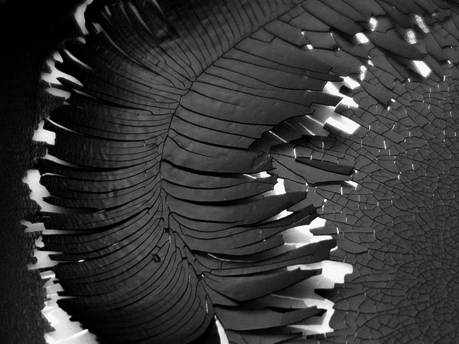 All that I See #4 All that I See #4