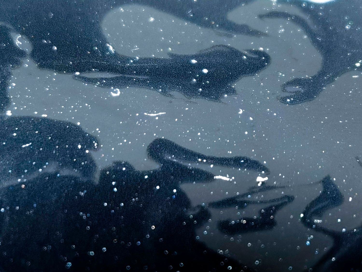 All that I See #18 All that I See #18