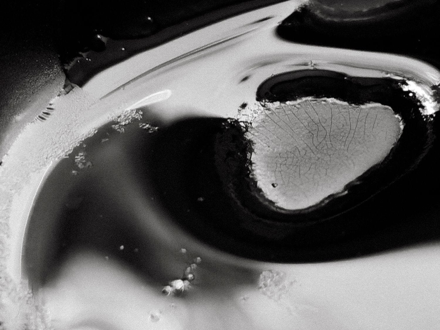 All that I See #16 All that I See #16