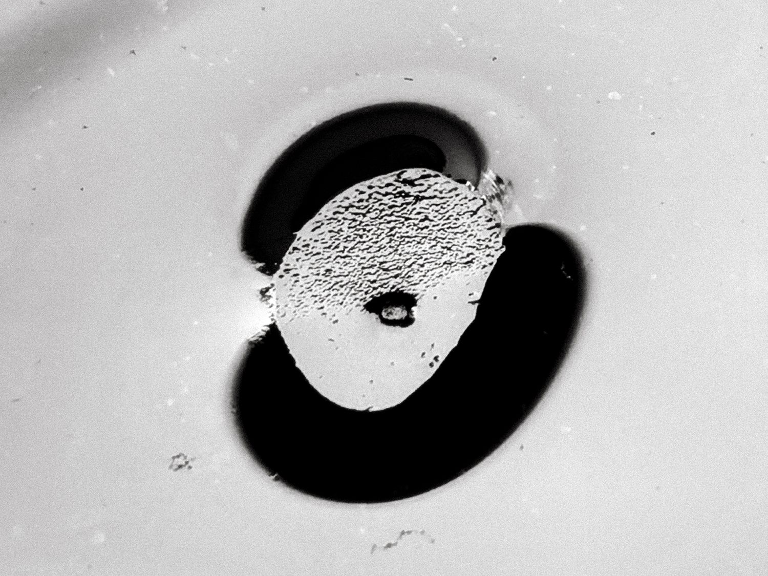 All that I See #13 All that I See #13