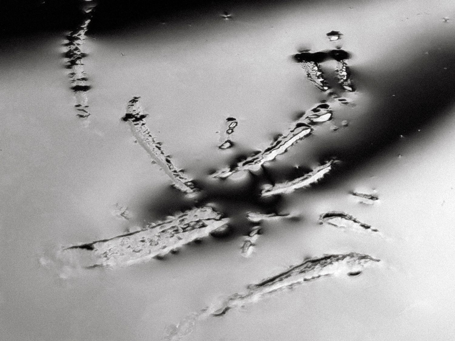 All that I See #12 All that I See #12