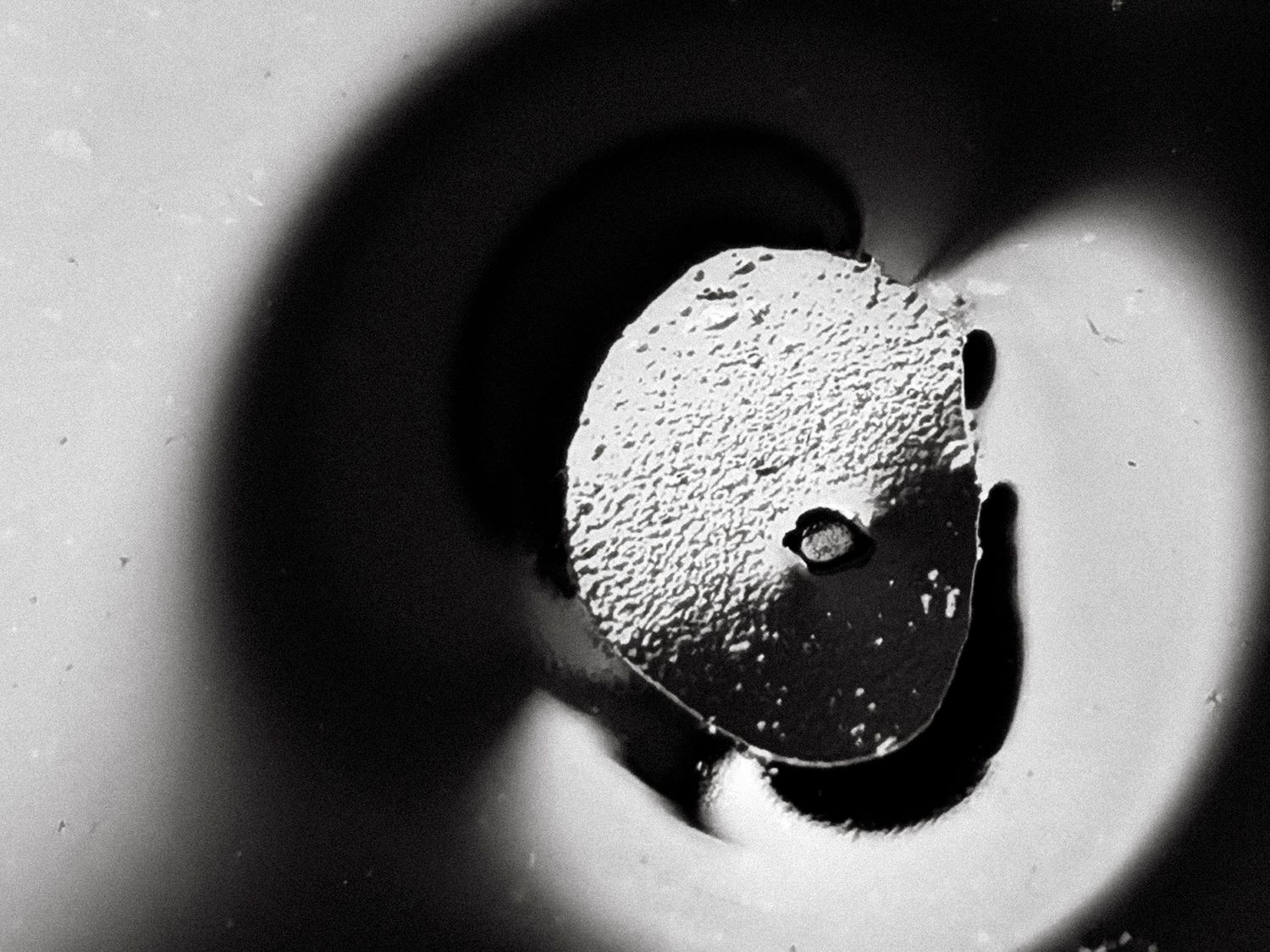 All that I See #10 All that I See #10