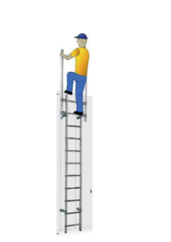 VERTICALI