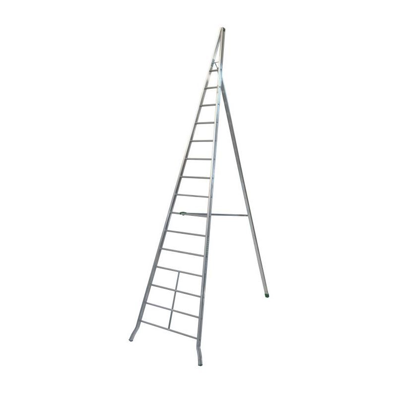 Scala agricola in alluminio  FACAL 5 mt