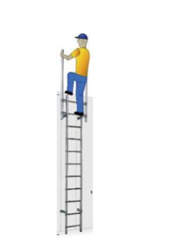 VERTICALI