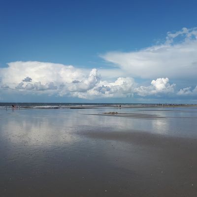 Kraft-Bilder