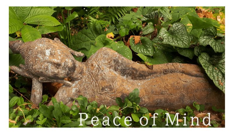 'Peace of Mind' - Kraft-Bild
