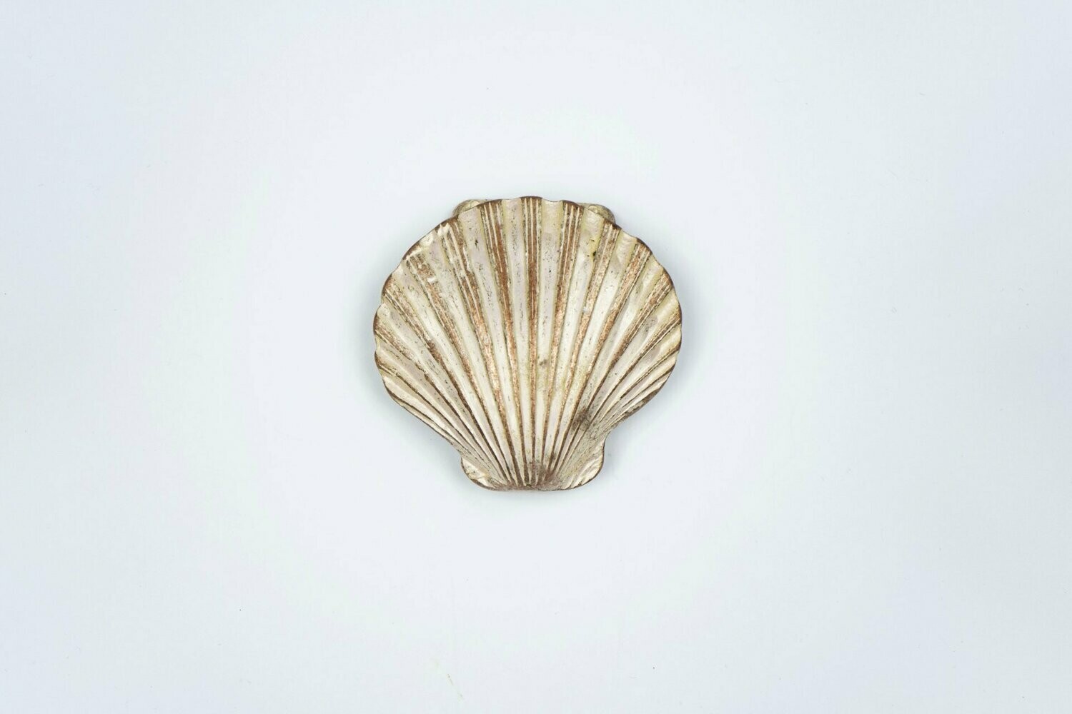 Strandmuschel rosé
