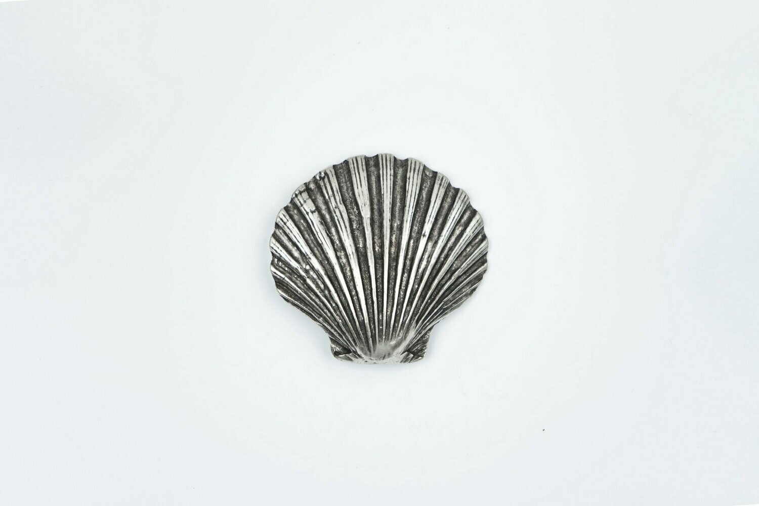 Strandmuschel silber