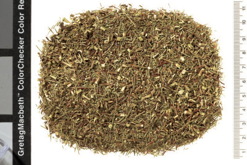 Grüner Rotbusch "Tee pur" k.b.A.