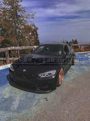 Rolling Elegance GTS Motorhaube  für BMW M4/M3 F83/F82/F80