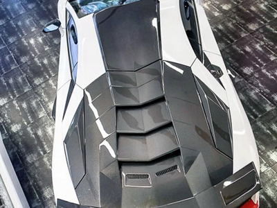 Rolling Elegance Carbon Motorabdeckung für Lamborghini Aventador