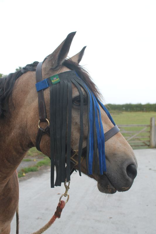 Velcro Fly Fringe