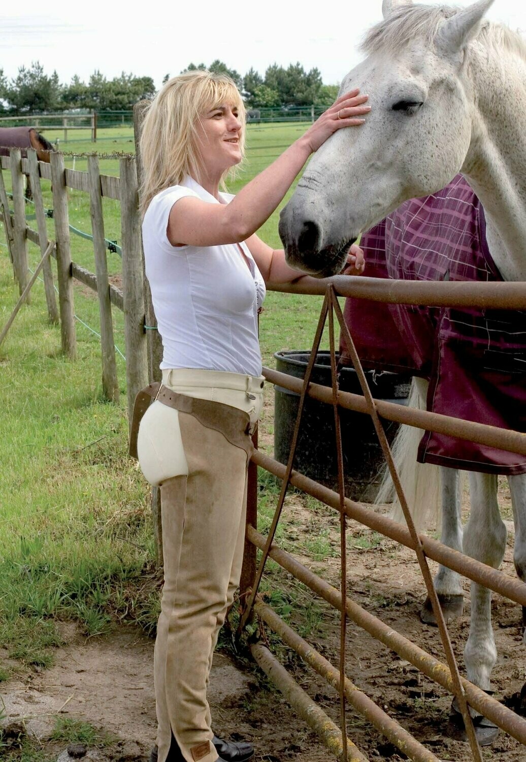 Riding Chaps - Regular or Hipster fit Riding Chaps - Regular or Hipster fit