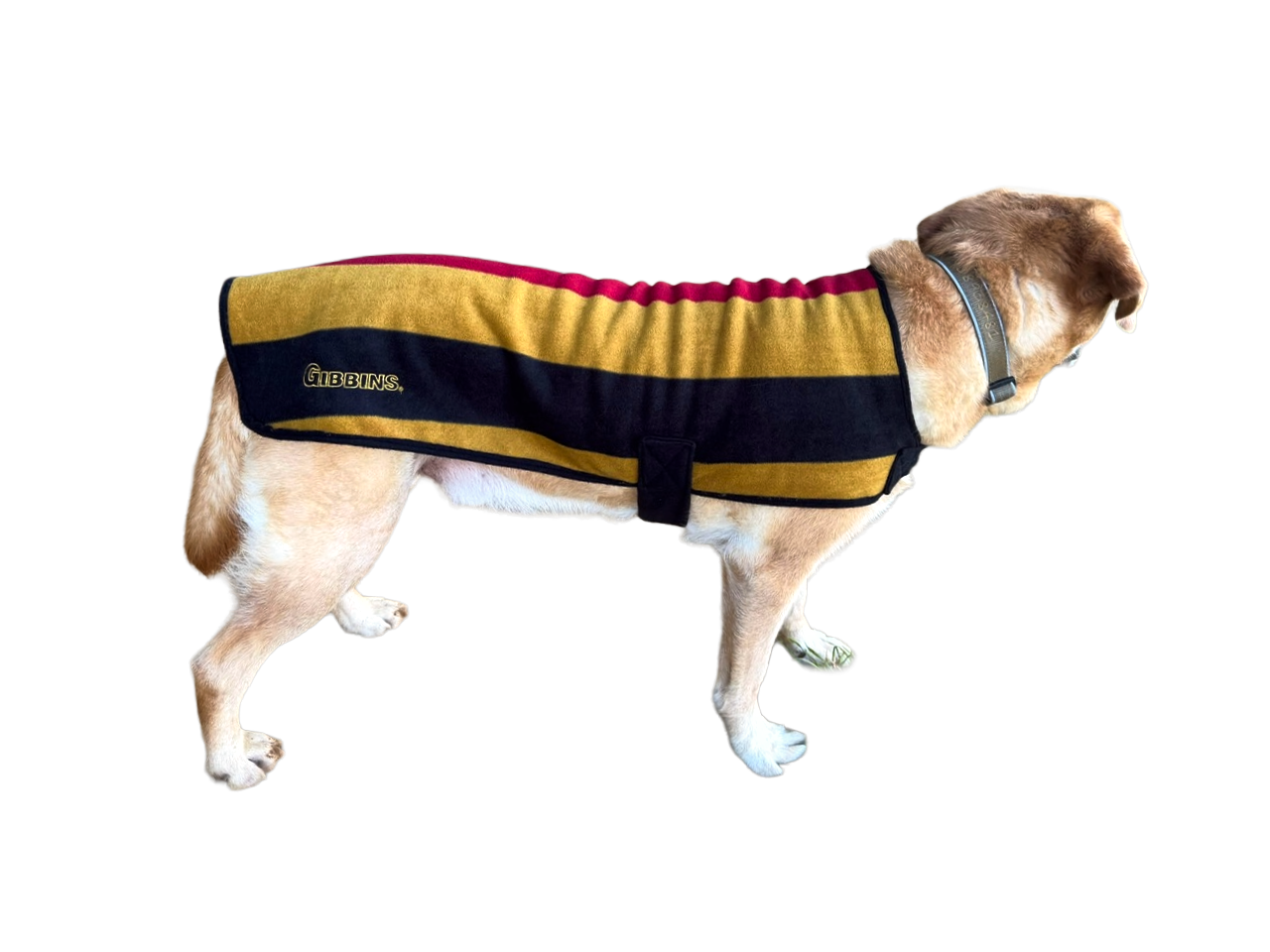 Witney Dog Fleece Witney Dog Fleece
