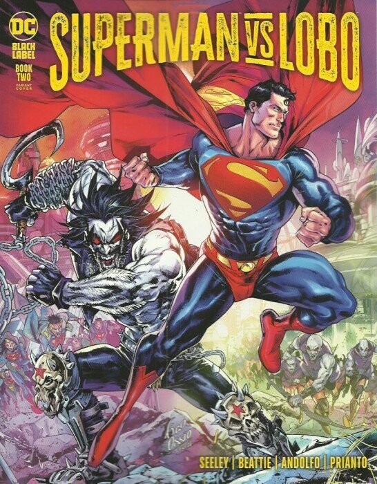 SUPERMAN VS LOBO #2 B