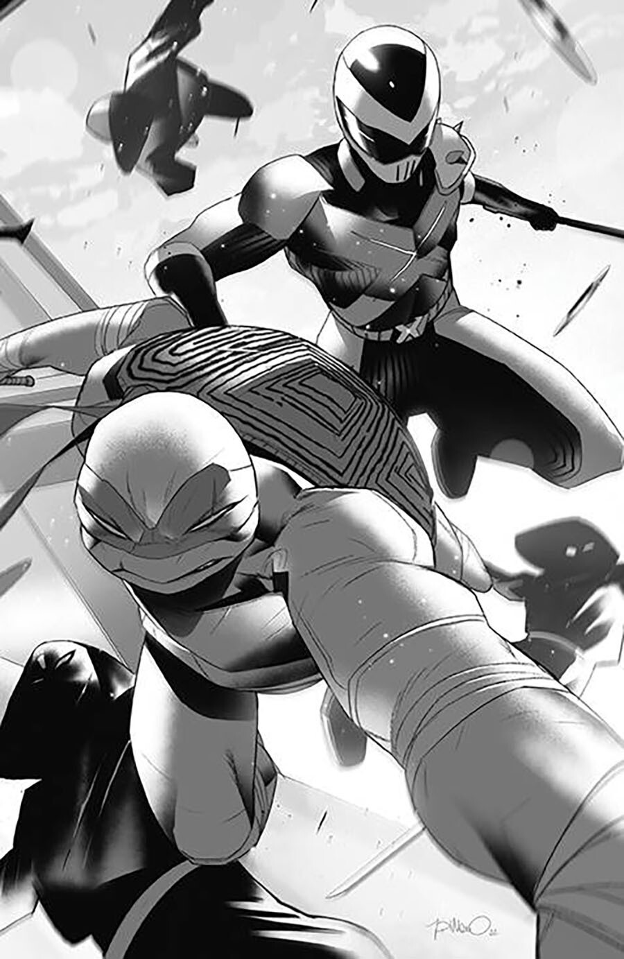 MMPR TMNT II #5 CVR RI B