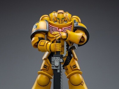 JOYTOY WARHAMMER 40K IMPERIAL FISTS INTERCESSOR