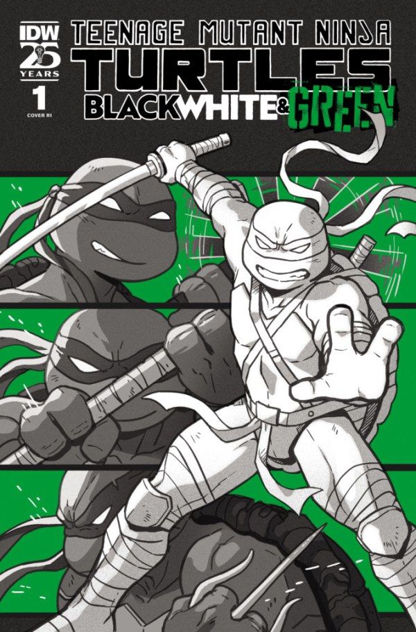 TMNT BLACK WHITE &amp; GREEN #1 CVR C