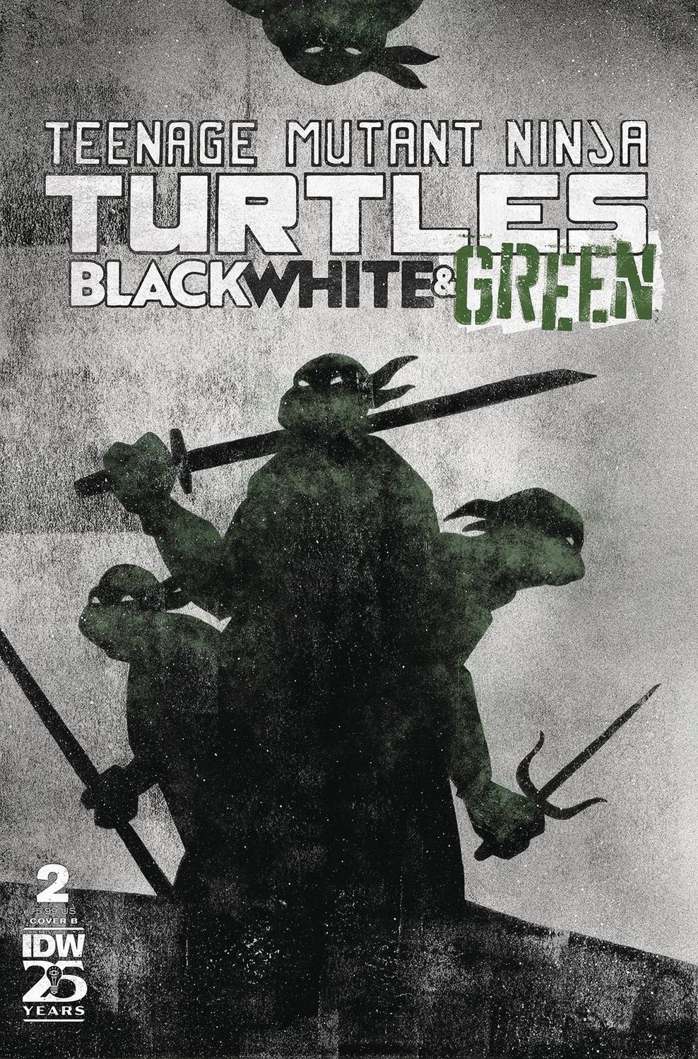 TMNT BLACK WHITE &amp; GREEN (2024) #2 CVR B