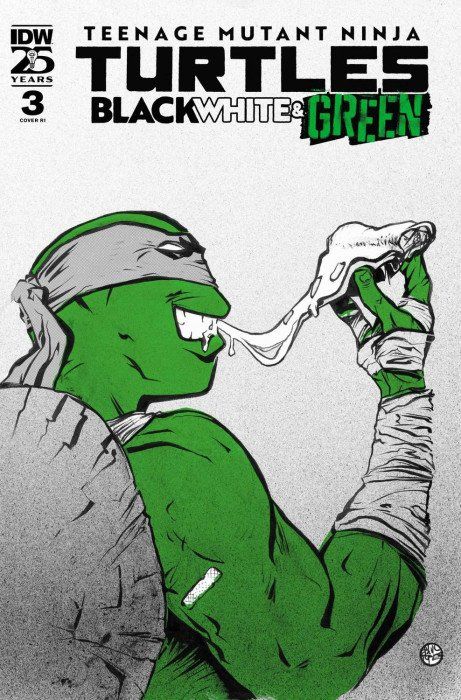 TMNT BLACK WHITE &amp; GREEN (2024) #3 CVR C FOIL