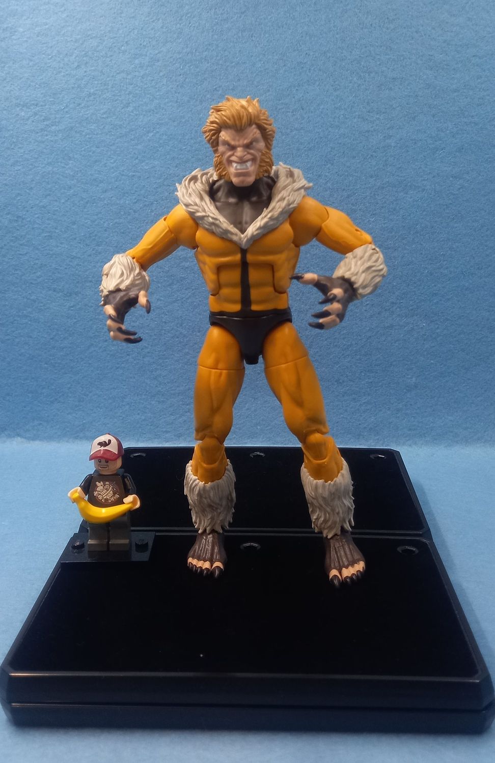 MARVEL LEGENDS SABRETOOTH (P/O)